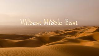 Wildest Middle East