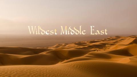 Wildest Middle East