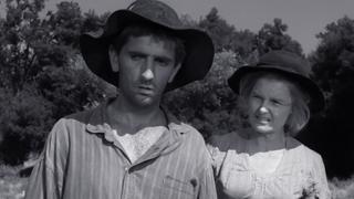 Take Her, She's Cheap Take Her, She's Cheap