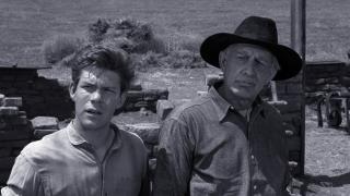 Help Me Kitty Help Me Kitty