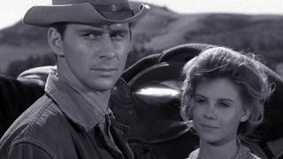 Run, Sheep, Run Run, Sheep, Run