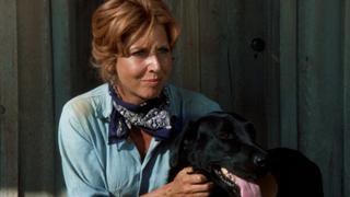 Matt's Love Story Matt's Love Story