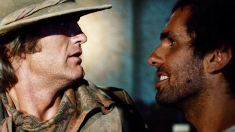 The Guns of Cibola Blanca