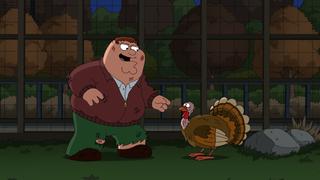 Turkey Guys