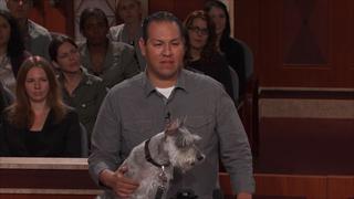 Schnauzer Puppy Snafu!; Clean and Sober ... and Married!