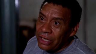 Along Came Joey Along Came Joey