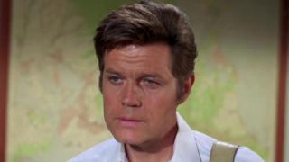 All the King's Horses