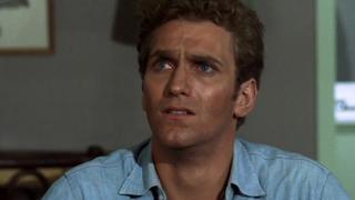 Killer Bee Killer Bee