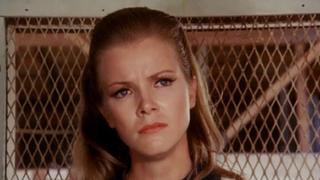 Beautiful Screamer Beautiful Screamer