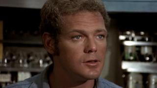 Follow the White Brick Road