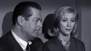 Hazel, the Tryst-Buster Hazel, the Tryst-Buster