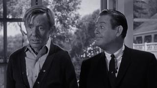 Hazel and the Gardener