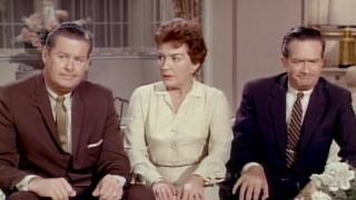 Hazel and the Lovebirds