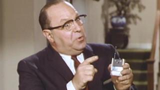 What's Bugging Hazel? What's Bugging Hazel?