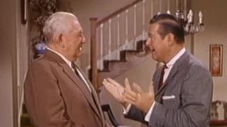 Hazel's Inquisitive Mind