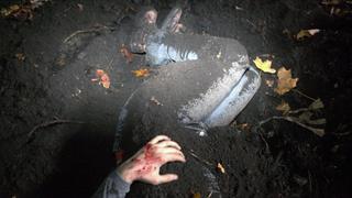 My Friend, My Love, My Killer My Friend, My Love, My Killer