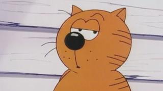 May the Best Cat Win May the Best Cat Win