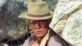 Feathers of an Eagle Feathers of an Eagle