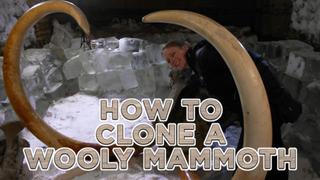 How to Clone a Woolly Mammoth