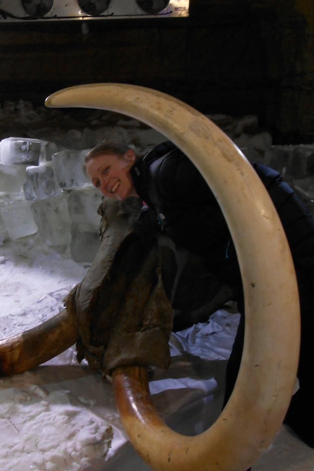How to Clone a Woolly Mammoth