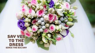 Say Yes to the Dress: Since the Big Day