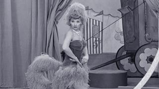 Lucy Meets the Queen Lucy Meets the Queen