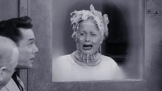 The Freezer The Freezer