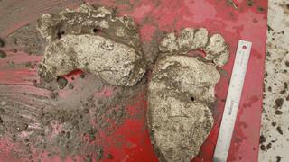 Big Foot Big Foot