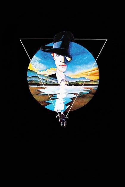 The Man Who Fell to Earth