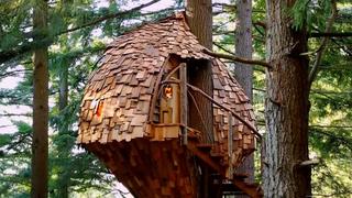Treehouse Masters
