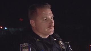 Cops Reloaded