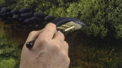 Tranquil Wooded Stream