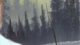 The Joy of Painting with Bob Ross