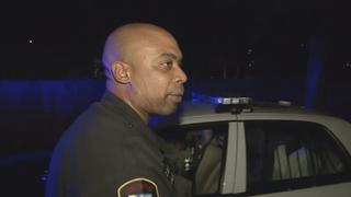 Cops Reloaded