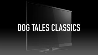 watch Dog Tales Classics