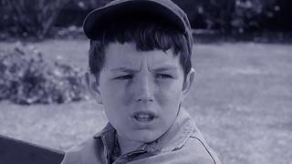 Beaver's Fortune Beaver's Fortune