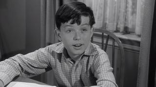 Beaver Finds a Wallet