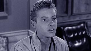 Beaver's Library Book Beaver's Library Book