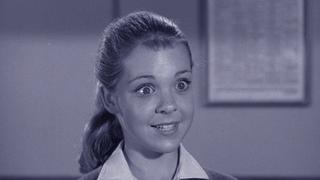 School Sweater School Sweater