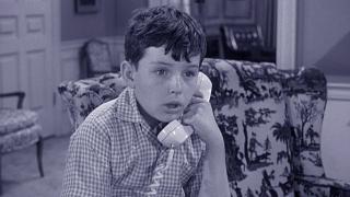 Larry Hides Out Larry Hides Out