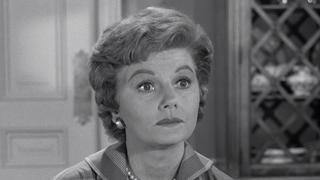 Ward's Baseball Ward's Baseball