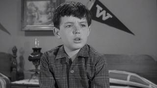 Beaver and Violet Beaver and Violet