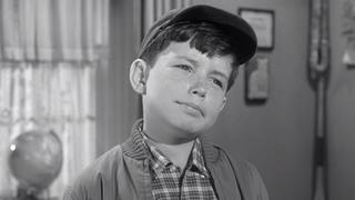 Beaver, the Model Beaver, the Model