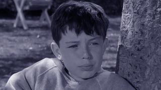 Beaver's Team Beaver's Team