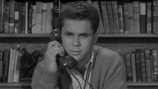 Wally and the Fraternity Wally and the Fraternity