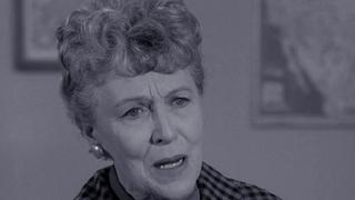 The Book Report The Book Report