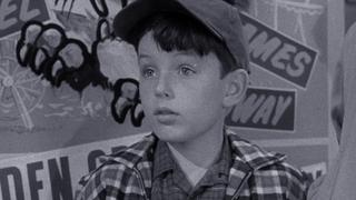 The Visiting Aunts The Visiting Aunts