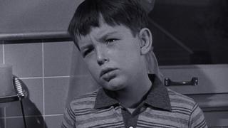 Wally's Pug Nose Wally's Pug Nose