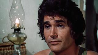 The Raccoon The Raccoon