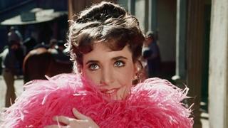 To See the World To See the World